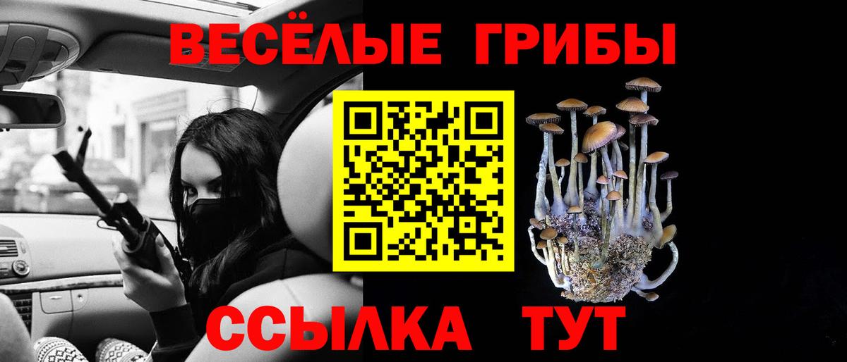 наркотики  Вход с VPN  Новочебоксарск  Псилоцибиновые грибы Cubensis 