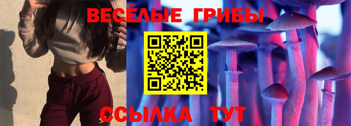 Галлюциногенные грибы Cubensis Новочебоксарск